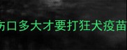伤口多大才要打狂犬疫苗