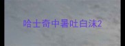 哈士奇中暑吐白沫