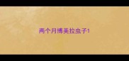 两个月博美拉虫子