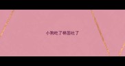 小狗吃了棉签吐了