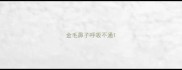 金毛鼻子呼吸不通