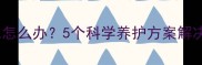 拉布拉多频繁掉毛怎么办5个科学养护方案解决季节性脱毛难题