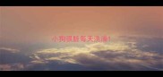 小狗很脏每天洗澡