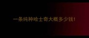 一条纯种哈士奇大概多少钱