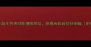新手必看5个超全方法判断猫咪年龄附成长阶段特征图解附体重对照表