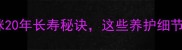 科学养猫指南猫咪20年长寿秘诀这些养护细节决定猫咪寿命长短