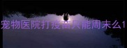 宠物医院打疫苗只能周末么