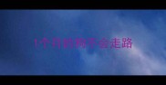 1个月的狗不会走路