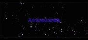 开封宠物店宠物兔