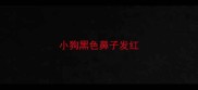 小狗黑色鼻子发红