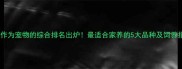鹦鹉作为宠物的综合排名出炉最适合家养的5大品种及饲养指南