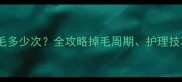 哈士奇一年掉毛多少次全攻略掉毛周期护理技巧与预防措施