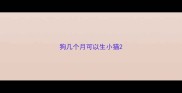 狗几个月可以生小猫