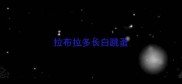 拉布拉多长白跳蚤