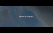 猫咪声音沙哑踹气