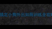 新手必看3步搞定小狗外出如厕训练全攻略附真实案例