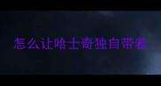 怎么让哈士奇独自带着