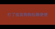 打了疫苗狗狗拉稀便便