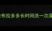 拉布拉多多长时间洗一次澡