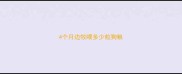 4个月边牧喂多少粒狗粮