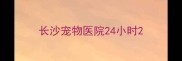 长沙宠物医院24小时