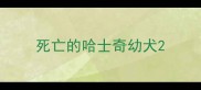 死亡的哈士奇幼犬