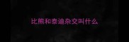 比熊和泰迪杂交叫什么