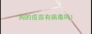 狗的疫苗有病毒吗