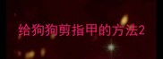 给狗狗剪指甲的方法