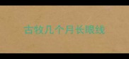 古牧几个月长眼线