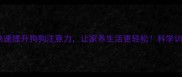 5步训练法快速提升狗狗注意力让家养生活更轻松科学训练指南附案例