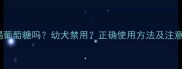 小狗能喝葡萄糖吗幼犬禁用正确使用方法及注意事项全