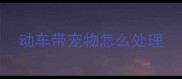 动车带宠物怎么处理