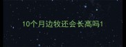 10个月边牧还会长高吗