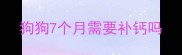 狗狗7个月需要补钙吗