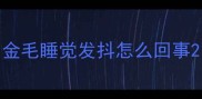 金毛睡觉发抖怎么回事
