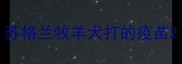苏格兰牧羊犬打的疫苗