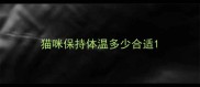 猫咪保持体温多少合适