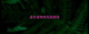 适合宠物自驾游路线