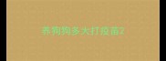养狗狗多大打疫苗