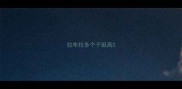 拉布拉多个子挺高