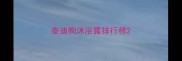 泰迪狗沐浴露排行榜