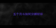 五个月斗如何分辨好坏