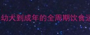 泰迪犬贵宾犬科学喂养指南从幼犬到成年的全周期饮食运动方案附成长阶段对照表