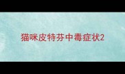 猫咪皮特芬中毒症状