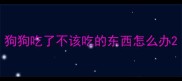 狗狗吃了不该吃的东西怎么办