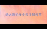 幼犬断奶多少天注射疫苗