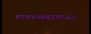 带宠物回国隔离宠物怎么办