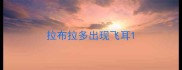 拉布拉多出现飞耳