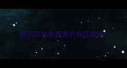 陨石边牧和普通的有区别吗